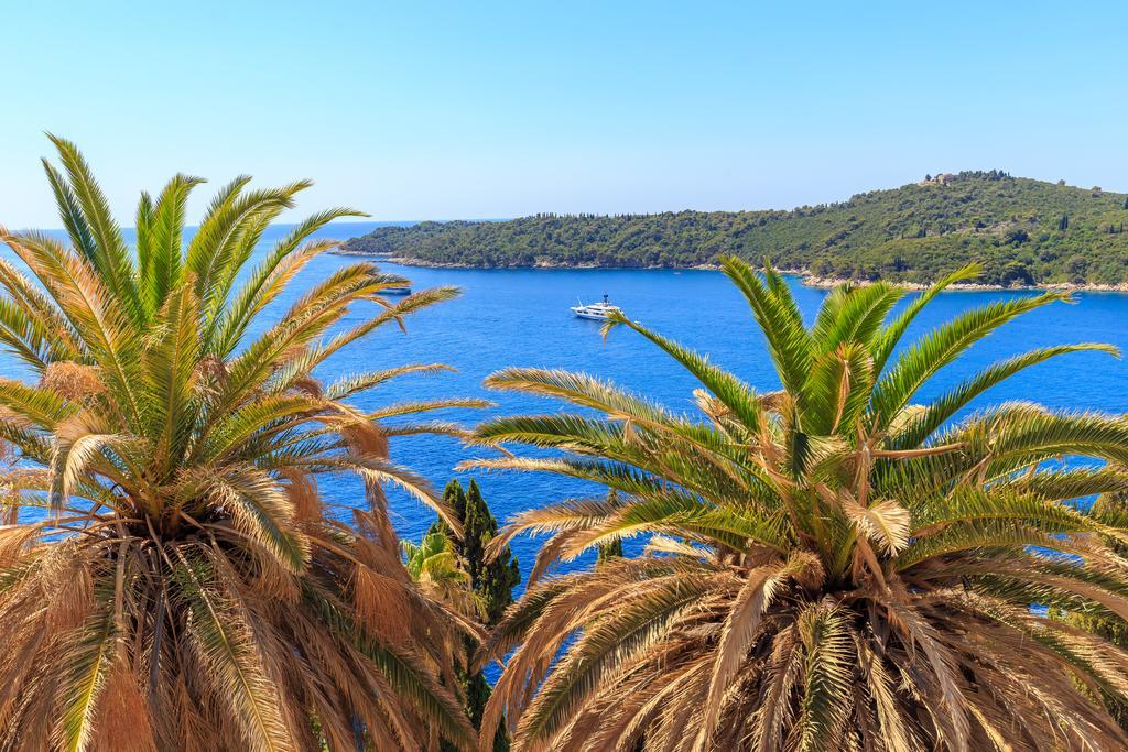 Two Palm Trees Apartment Dubrovnik Eksteriør billede